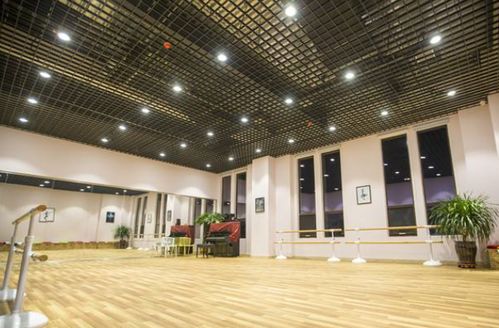 音悦艺术中心加盟全解析 潜力赛道与代理行动指南