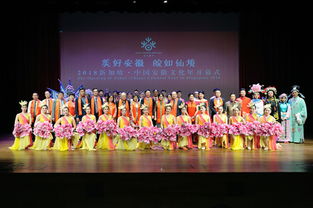 驻新加坡使馆房新文临时代办出席多场春节文化活动，赋能文化艺术经纪代理新图景